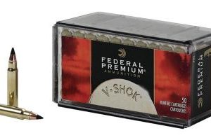 Federal V-Shok 17hrm BallisticTip