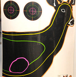 Champion VisiColor  Deer Target